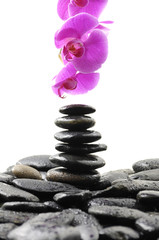 Obraz na płótnie Canvas Stack stones in balance with pink orchid