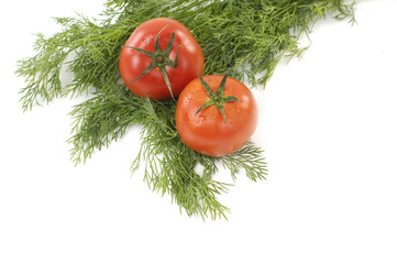 Naklejka na ściany i meble czerwone pomidory ze świeżej zielonej kolendry