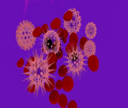 virus al microscopio