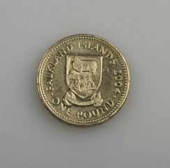One pound of the Falkland or Malvinas Islands.