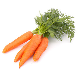 Carrot vegetable with leaves - obrazy, fototapety, plakaty