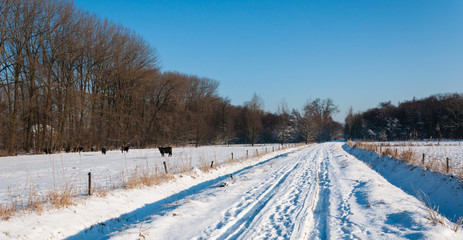 Obraz premium Snowy country road between the meadows
