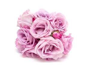 bunch of violet roses