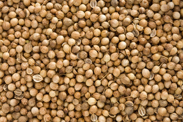Coriander as whole background