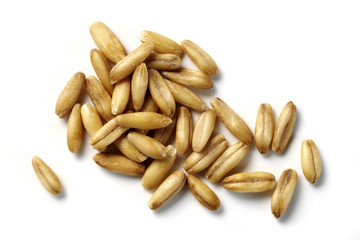oat grains isolated