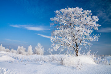 Fototapeta na wymiar zimowy krajobraz