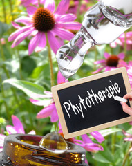 Phytotherapeutika Kreidetafel