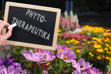 Phytotherapeutika Kreidetafel