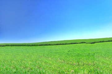 summer country view