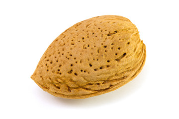 one almond on white background