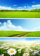 banners of spring fields and flowers
