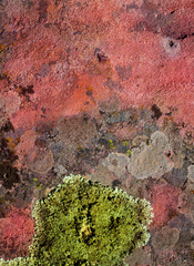 lichen green on red rock texture nature