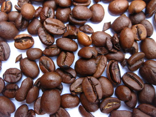 coffee beans