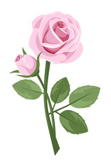 Naklejka premium Pink rose with stem isolated on white. Vector illustration.