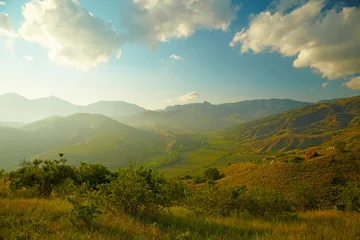Foto op Plexiglas Summer landscape with vineyard, mountains and sky © SJ Travel Footage