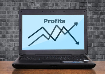 profit concept