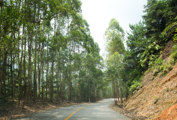 Countryside road