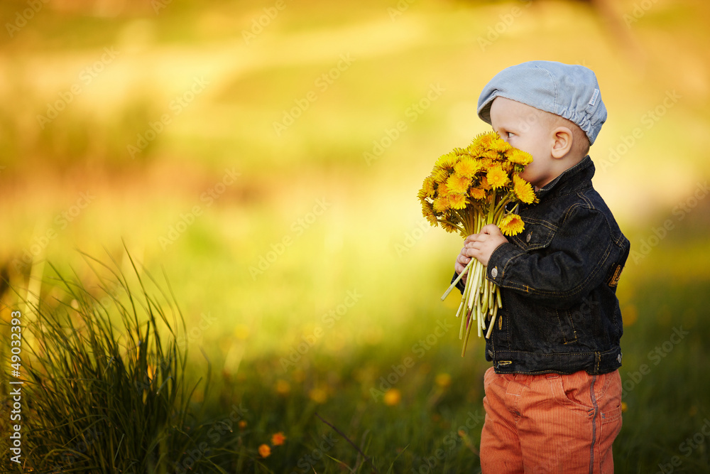 Wall mural cute little boy with dandelions