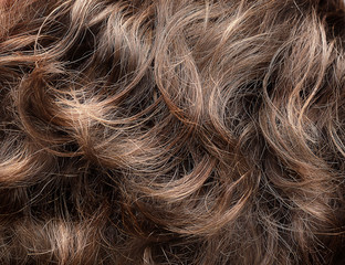 Fototapeta premium Curly hair texture