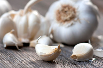 Garlic