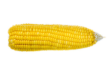 isolated of corn