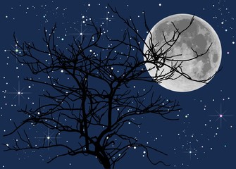 full moon and died trees - 49038123