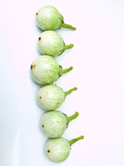fresh green eggplants, CHIONATHUS PARKINONII , isolated on white