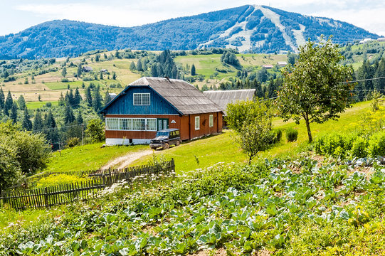 Fototapeta A typical "Dacha" in the Ukrainian Carpathian mountains, and a field of cabbage
