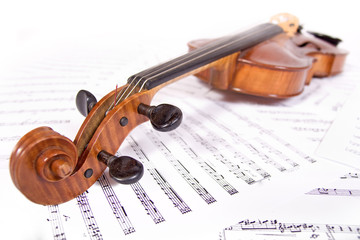 viola in the note record.