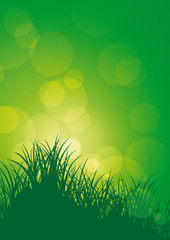 Fototapeta na wymiar abstract Green with grass