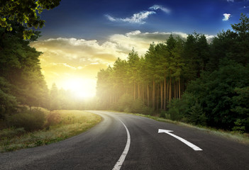 Obraz premium the road in a pine forest