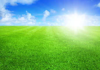 Plakat zielona trawa i błękitne niebo