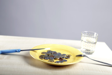 Euro coins in a plate