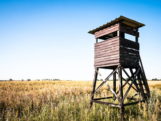 wildlife observation point