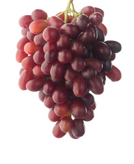 grape bunch isolated on white