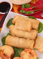 fried spring roll
