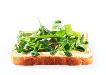 Slice of bread with fresh salad greens