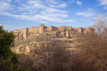 Fototapeta na wymiar Fort w Ranthambore National Park, Rajasthan,