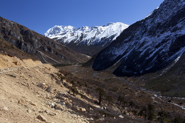 Tsopta Valley in North Sikkim.