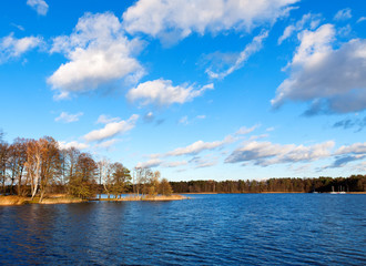 view of the lake shore, overgrown forest