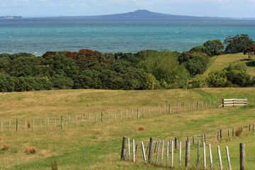 view of Rangitoto Island from Shakespear Regional Park