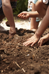 young children planting seeds in garden