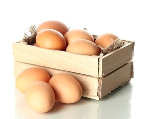 Many eggs in box isolated on white