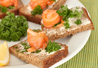 Salmon sandwich on plate, close up