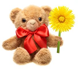 Classic teddy bear with red bow holding flower isolated on white