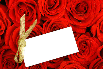 Red roses with a blank gift tag.