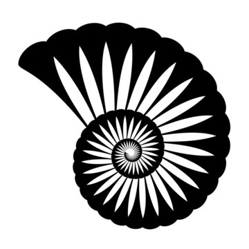 vector shell silhouette
