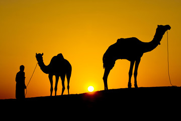 Silhouette man and camel at sunset, Jaisalmer - India