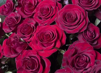 Papier Peint photo autocollant Macro Juste des roses rouges.