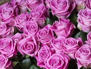 Photo sur Plexiglas Macro Beau bouquet de roses roses.